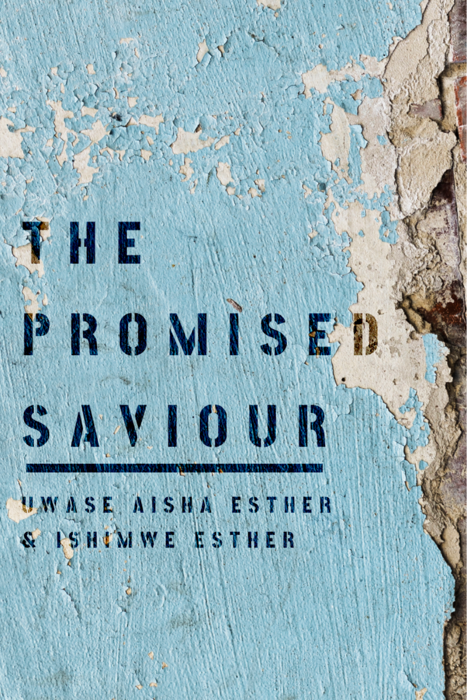 The Promised Saviour